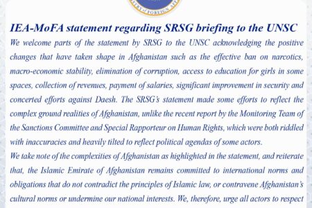 IEA-MoFA statement regarding SRSG briefing to the UNSC