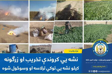 Poppy Fields Destroyed, Narcotics Confiscated in Farah