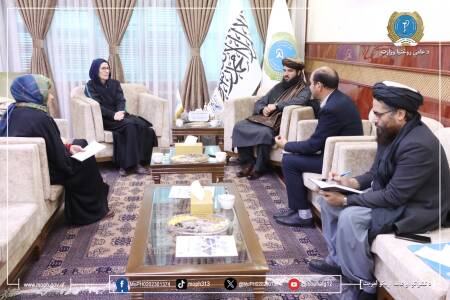 Minister of Public Health Meets Red Cross officials
