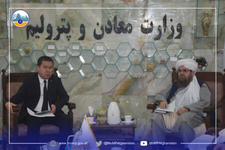 Minister of Mines and Petroleum Meets Executive Director of TAPI project