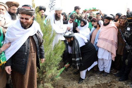 National Planting Campaign Kicks off in Kabul