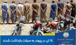 14 arrested on various charges from Helmand