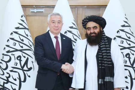 Minister of Foreign Affairs Meets Deputy Prime Minister of Kazakhstan