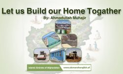 Let us Build our Home Togather
