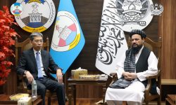 Minister of water and energy meets Chinese Ambassador