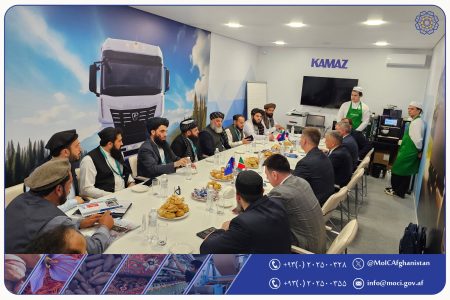 Minister of Industry and Trade Engages with Kamaz Company Officials