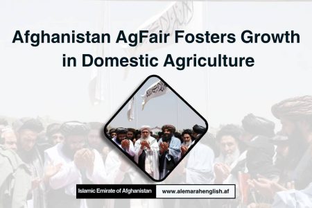 Afghanistan AgFair Fosters Growth in Domestic Agriculture