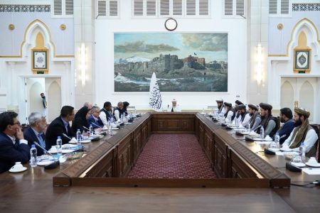 Administrative deputy PM Meets WHO delegation