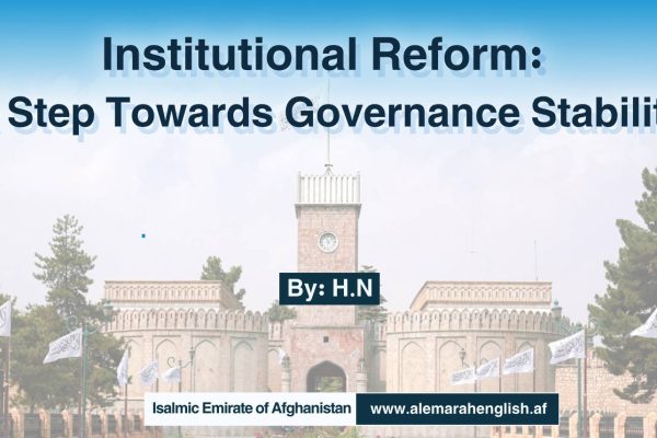 Institutional Reform: A Step Towards Governance Stability